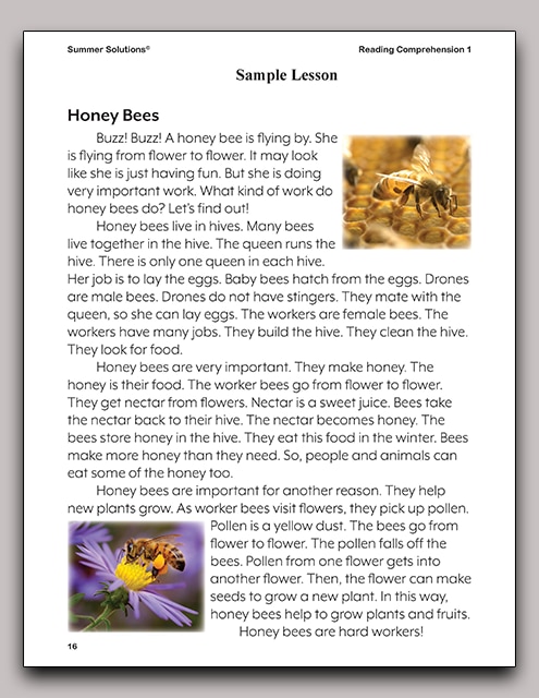 Reading Comprehension Text Example Reading Comprehension 1